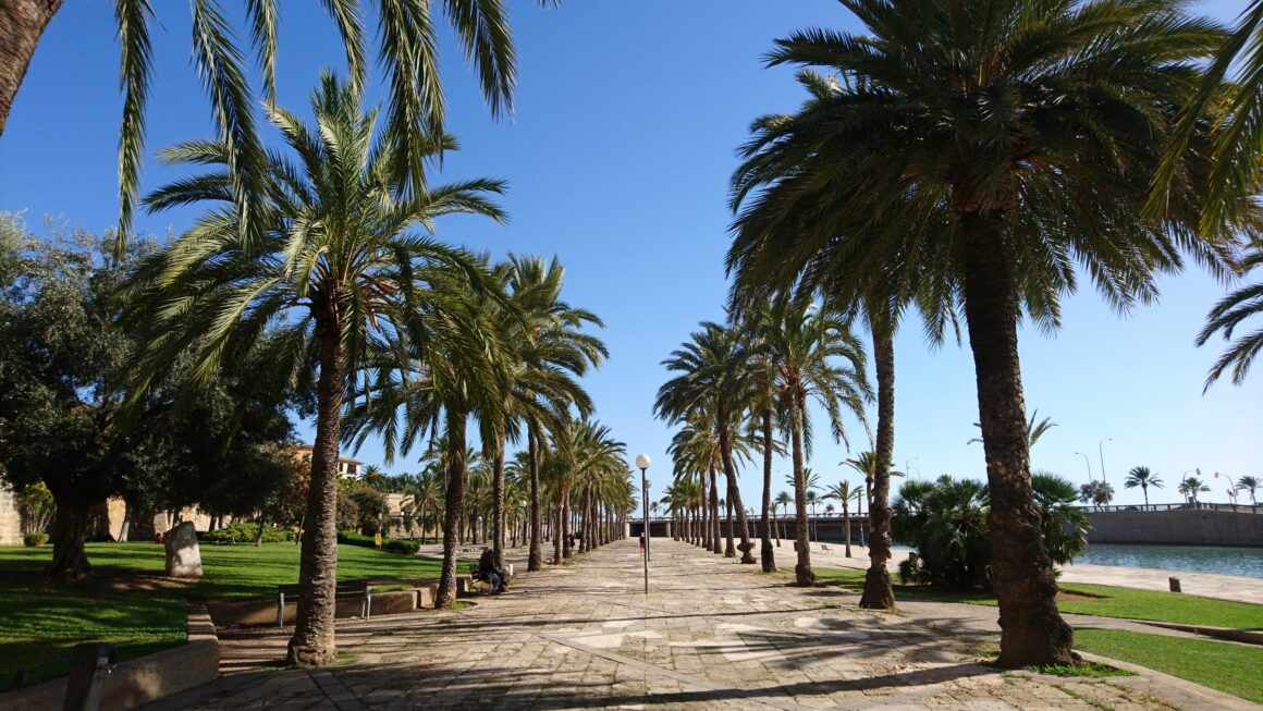 Mallorca – Insel mit vielen Gesichtern zur Mandelblüte