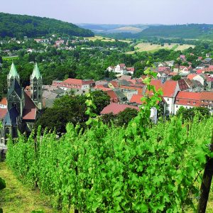 Saale-Unstrut: Kleines Weinland, große Schönheit