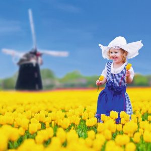Niederlande: Tulpenbunt und Delfter Blau in Holland