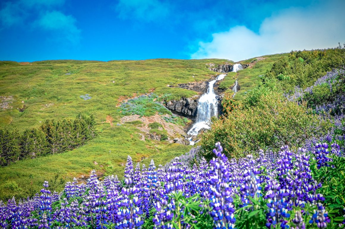 Rund um Island mit Verlängerung in Schottland mit MS Amadea