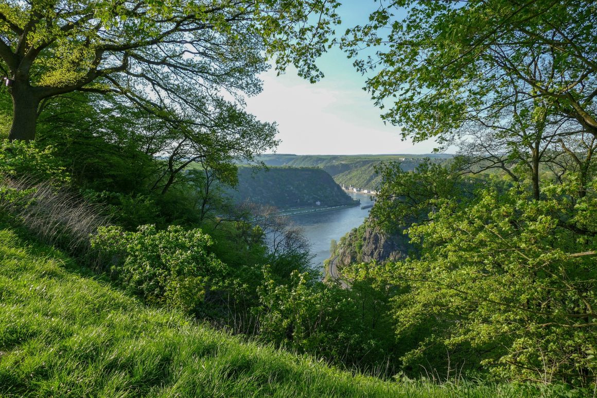 Rhein Total mit MS VistaNeo