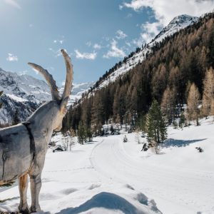 Silvester in Südtirol: Da wird was „gebozen“