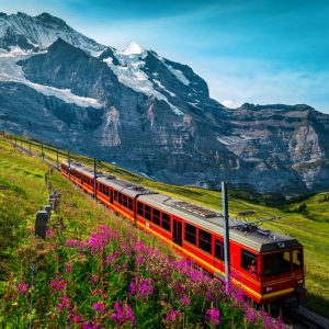 Sinnesrausch im Berner Oberland