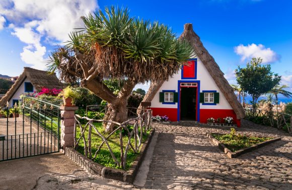 Madeira: Inseltraum in voller Blüte